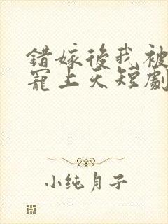 错嫁后我被陆少宠上天短剧