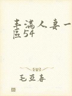 丰满人妻一区二区54