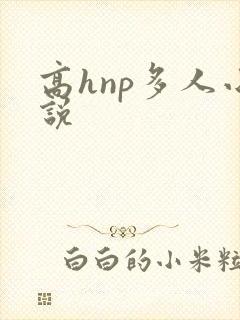 高hnp多人小说