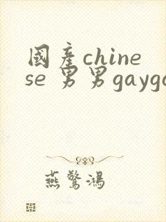 国产chinese 男男gaygay网站