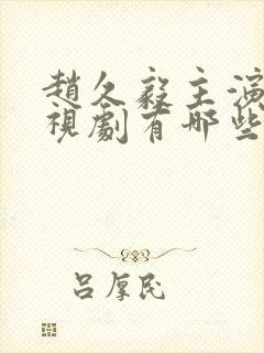 赵久毅主演的电视剧有哪些