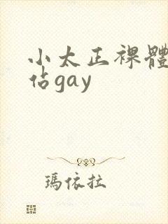 小太正裸体黄网站gay封面