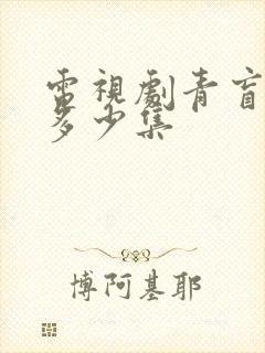 电视剧青盲一共多少集封面