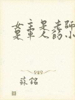 女主是老师男主是军人的小说