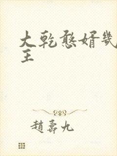 大乾憨婿几个女主