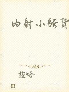 内射小骚货h