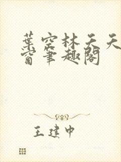 叶空林夭夭无弹窗笔趣阁