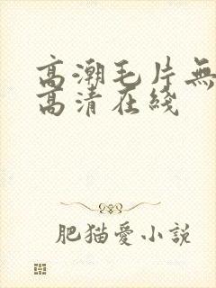 高潮毛片无遮挡高清在线封面