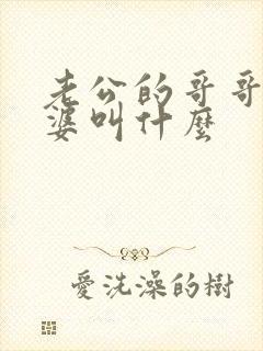 老公的哥哥的老婆叫什么封面