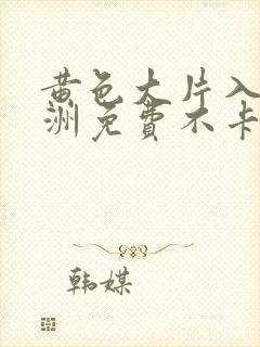 黄色大片入口亚洲免费不卡有限公司