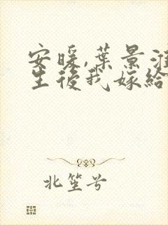 安暖,叶景淮重生后我嫁给了渣男的死对头