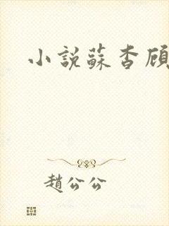 小说苏杳顾君亦