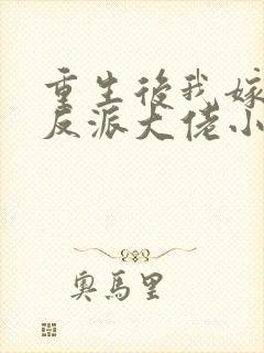 重生后我嫁给了反派大佬小说免费阅读
