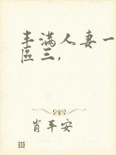 丰满人妻一区二区三,