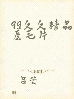 99久久精品国产毛片