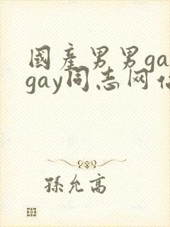 国产男男gaygay同志网站