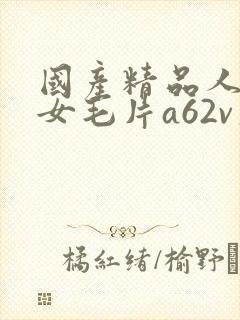 国产精品人妻熟女毛片a62v久久