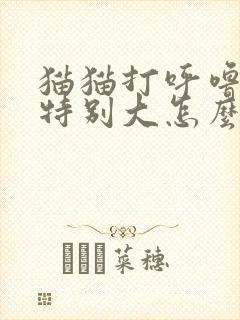 猫猫打呼噜声音特别大怎么回事