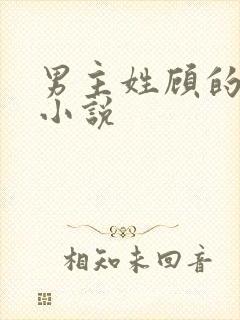 男主姓顾的现代小说封面