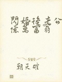 闪婚后老公竟是亿万富翁