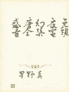 盛唐幻夜免费观看全集电视剧西瓜封面