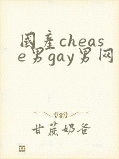 国产chease男gay男网站封面