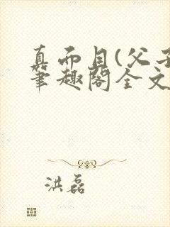 真面目(父子)笔趣阁全文封面