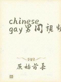 chinesegay男同视频