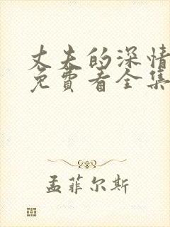 丈夫的深情谎言免费看全集封面