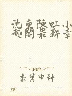 沈东陈虹小说笔趣阁最新章节更新封面
