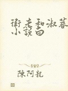 卫老和淑蓉全集小说白