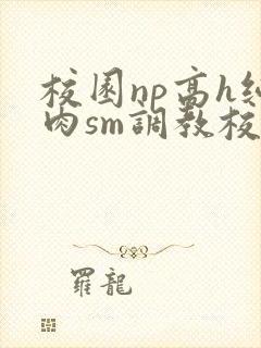 校园np高h纯肉sm调教校花封面