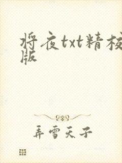 将夜txt精校版