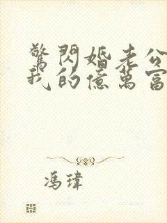 惊闪婚老公竟是我的亿万富翁