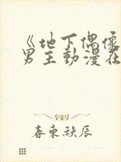 《地下偶像》双男主动漫在线