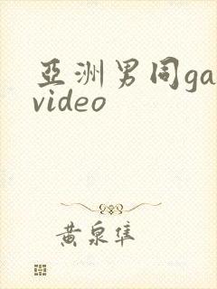 亚洲男同gayvideo