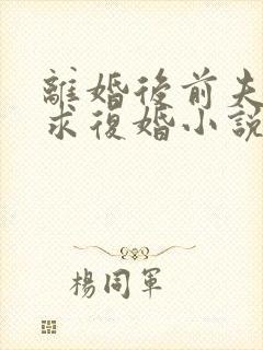 离婚后前夫哭着求复婚小说全部章节