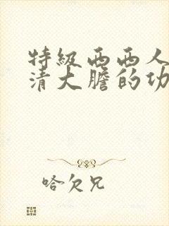 特级西西人体高清大胆的功能介绍