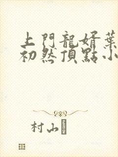 上门龙婿叶辰萧初然顶点小说