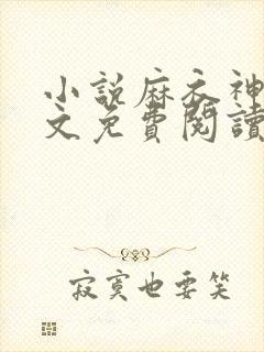 小说麻衣神婿全文免费阅读