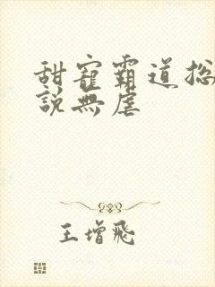 甜宠霸道总裁小说无虐