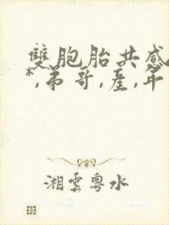 双胞胎共感(双*,弟哥,产,年下)小说封面