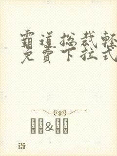 霸道总裁轻轻爱免费下拉式漫画封面