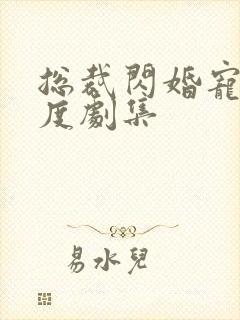 总裁闪婚宠妻无度剧集