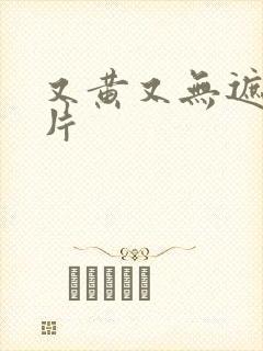 又黄又无遮挡毛片