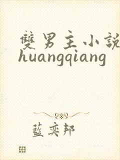 双男主小说 shuangqiang