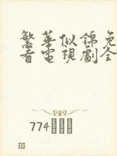 繁华似锦免费观看电视剧全集