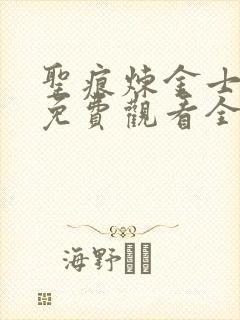 圣痕炼金士动漫免费观看全集
