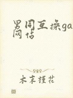 男同互操gay网站封面