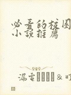 必看的校园言情小说推荐封面